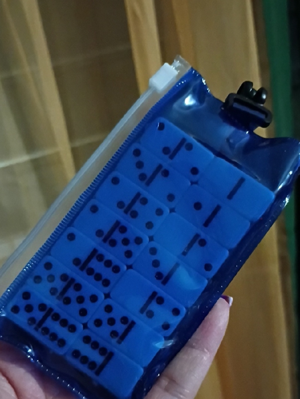 Blue Domino Set in Clear Zipper Pouch